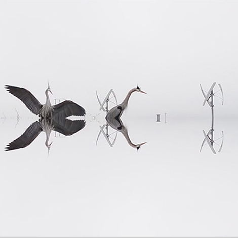 Detail from "Fog" by Wioleta Kaminska Still From "Fog", Wioleta Kaminska
