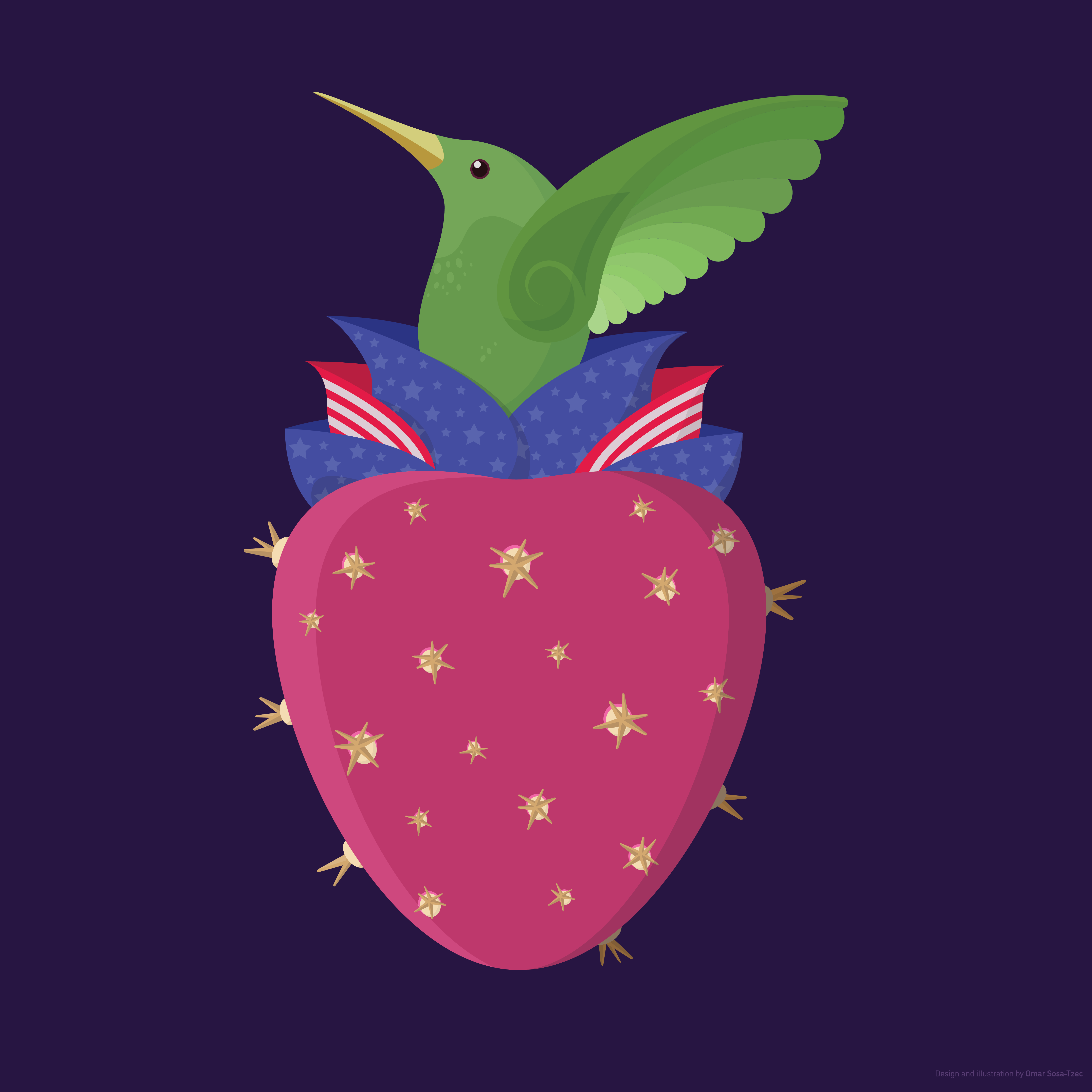 Illustration made by Omar Sosa-Tzec that shows a hummingbird representing Latinx emerging from a tuna decorated with the American flag. Tuna is the fruit of the nopal, a cactus.